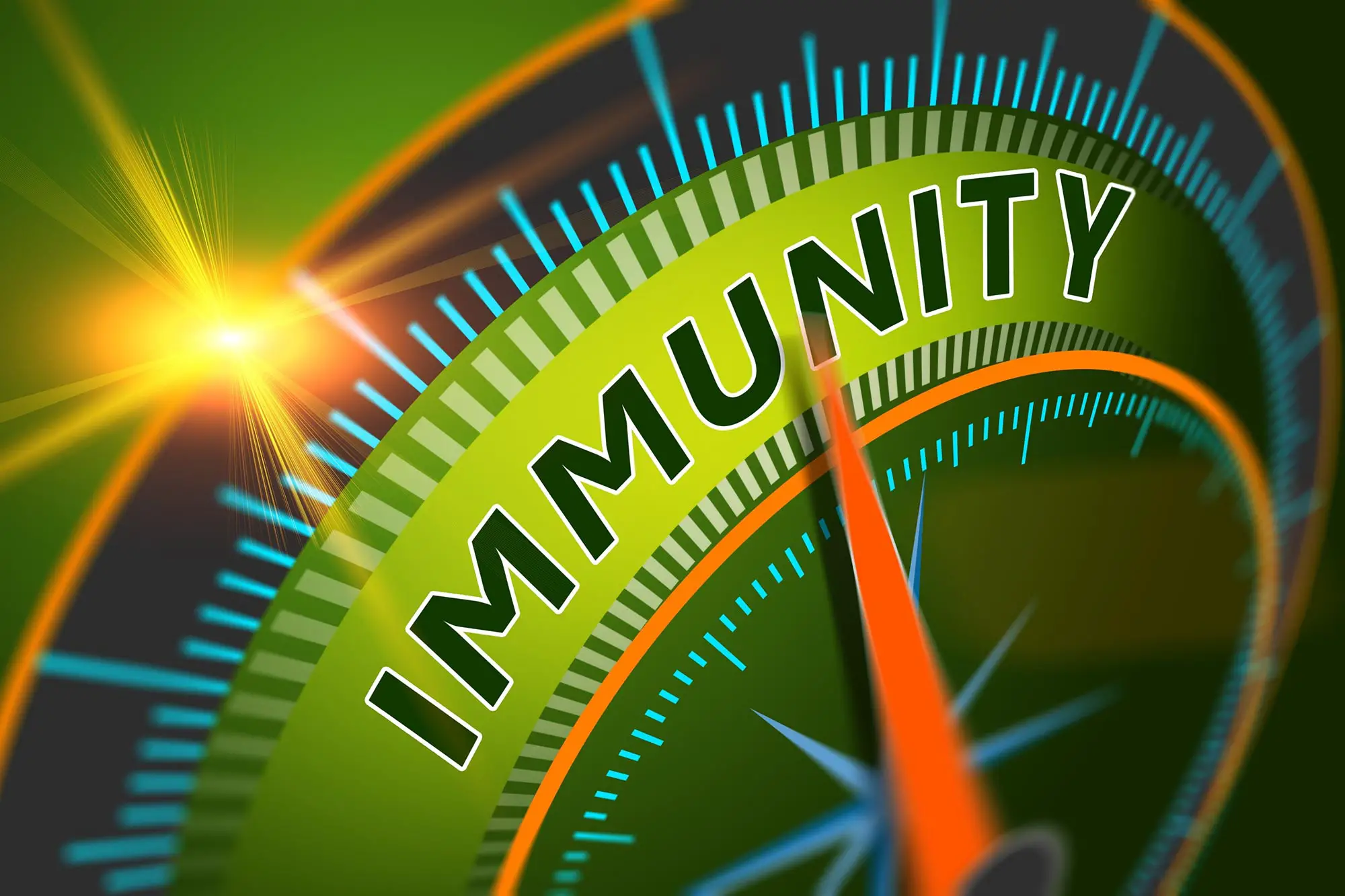 Blog 1 Boost human immune system - inactive vs bio-active